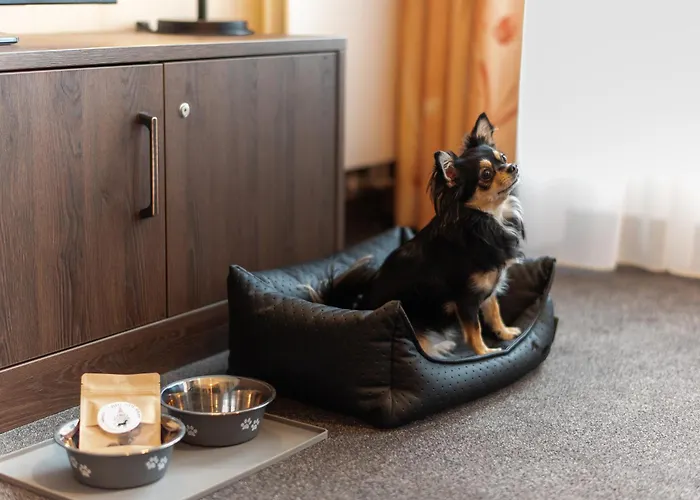 Panoramastudio Mit Blick Zur Frauenkirche *
