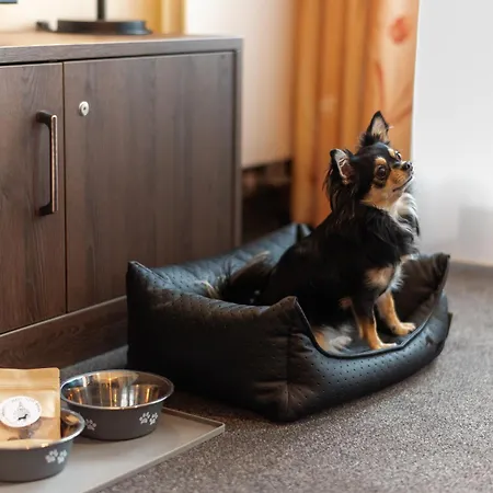 Panoramastudio Mit Blick Zur Frauenkirche *